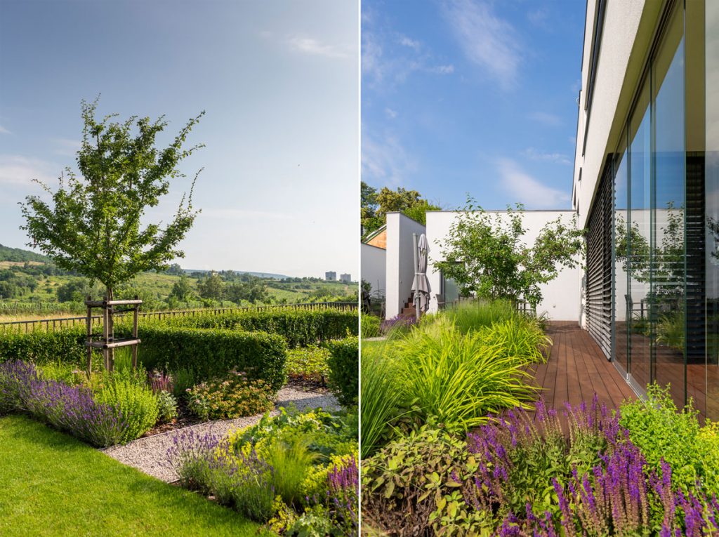 Záhrada, ktorá ladí s architektúrou novostavby