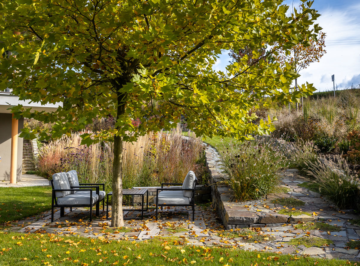Prírodná záhrada s terasou z andezitových platní a dubových fošní, na ktorej je umiestnené sedenie pod platanom