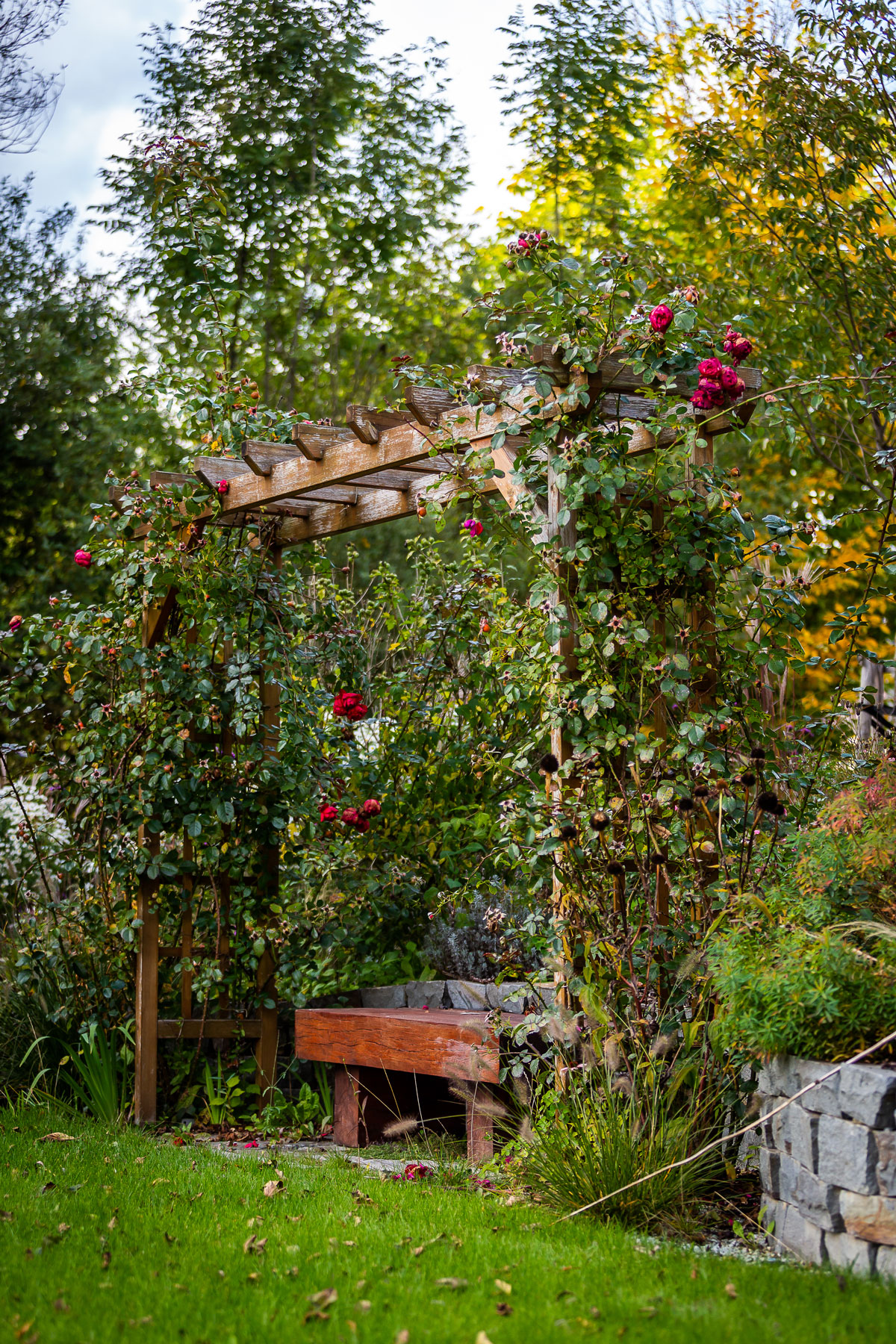 Záhrada vo svahovitom teréne s pergolou so sedením, obrastenou popínavými ružami.