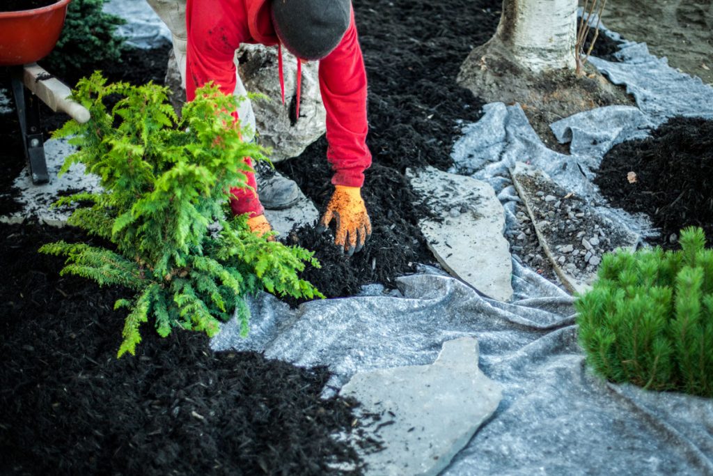 5 dôvodov, prečo by ste mali zvážiť (ne)použitie geotextílií v záhrade