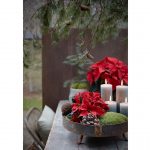 Dekorovanie s vianočnou ružou: vintage dekorácia s kovovým podnosom, v ktorom sú sviečky, vianočná ruža, mach a iné prírodniny