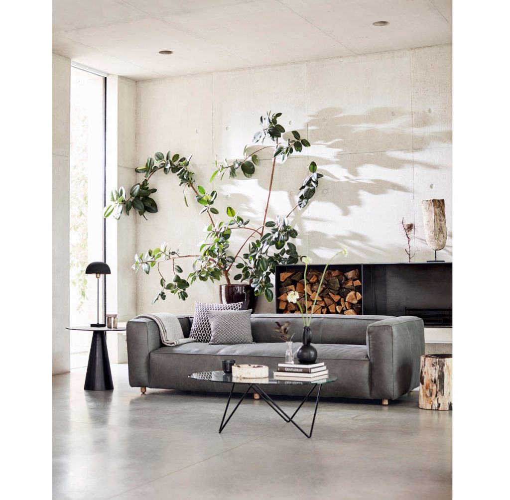 Botanický štýl v interiéri: Obývačka s výrazným rastlinným solitérom