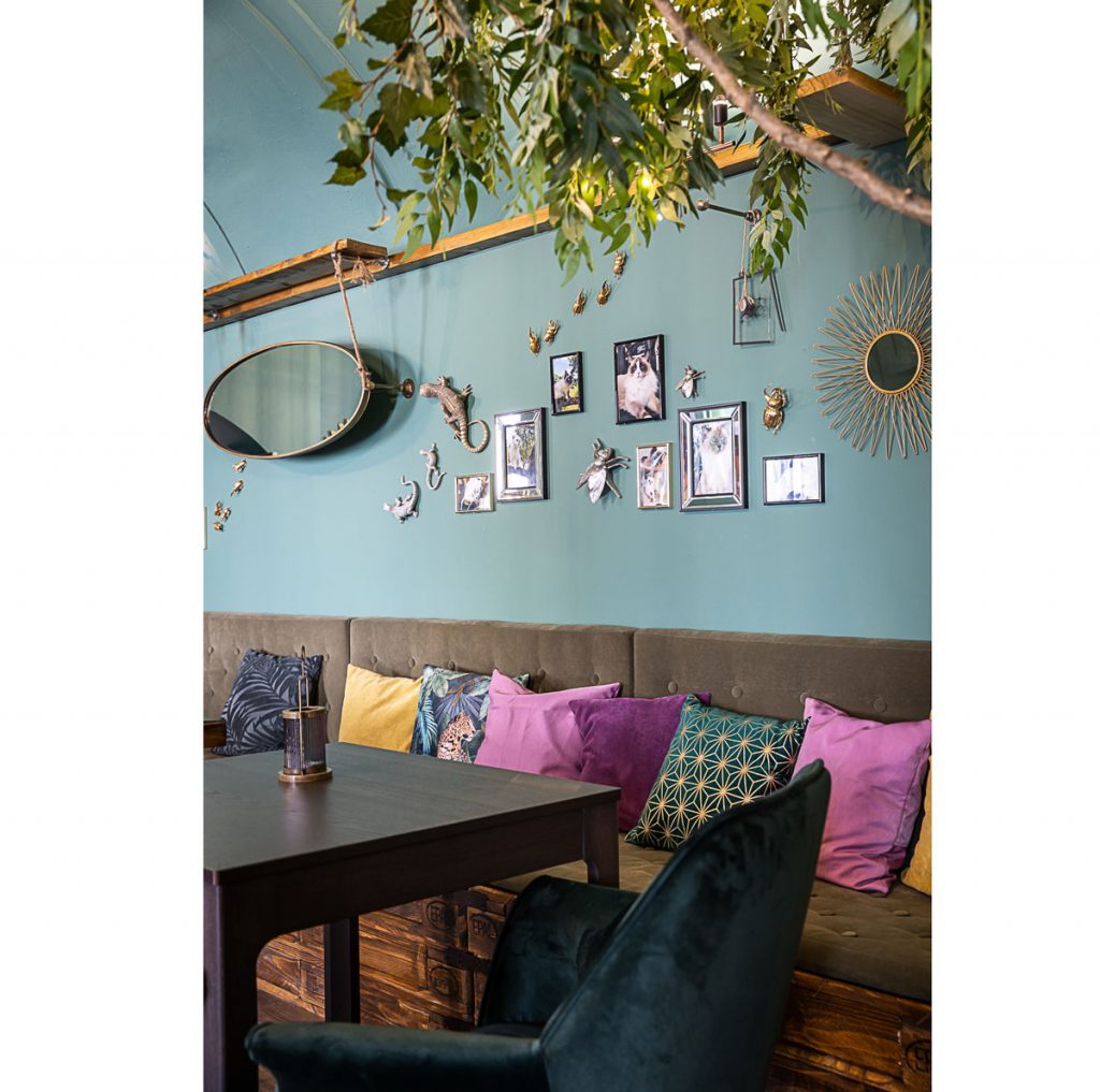 Kaviareň Ragdoll café: lavicové sedenie s farebnými vankúšmi v mačacej kaviarni pri stene so zvieracími dekoráciami