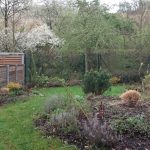 premena malej záhrady: stav pred premenou