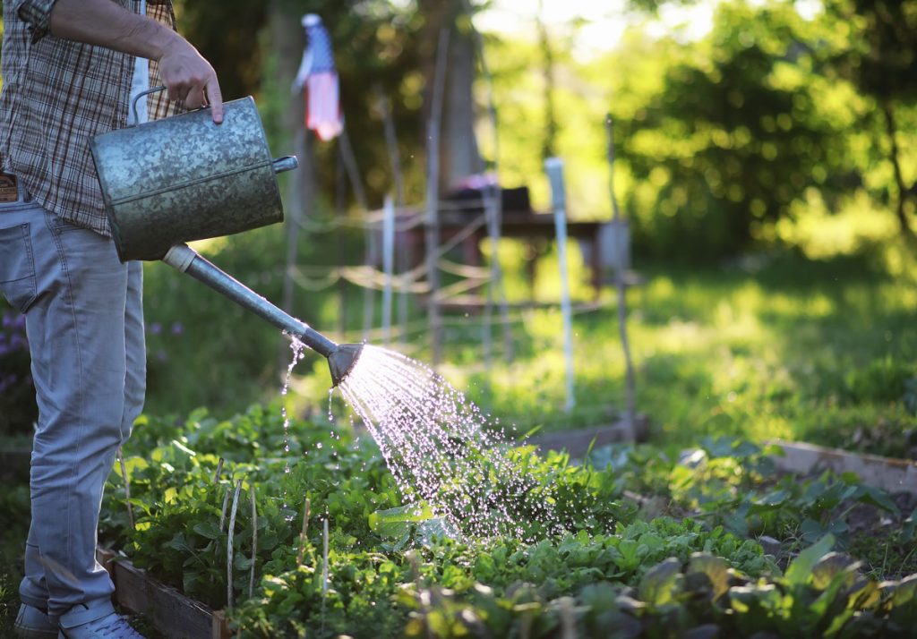 Záhrada môže byť veľkým „žrútom“ vody. Ako ju využiť efektívne a do poslednej kvapky?