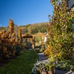 jesenná okrasná záhrada s kvetinovými záhonmi a výhľadom na vinohrad a terasu s pergolou