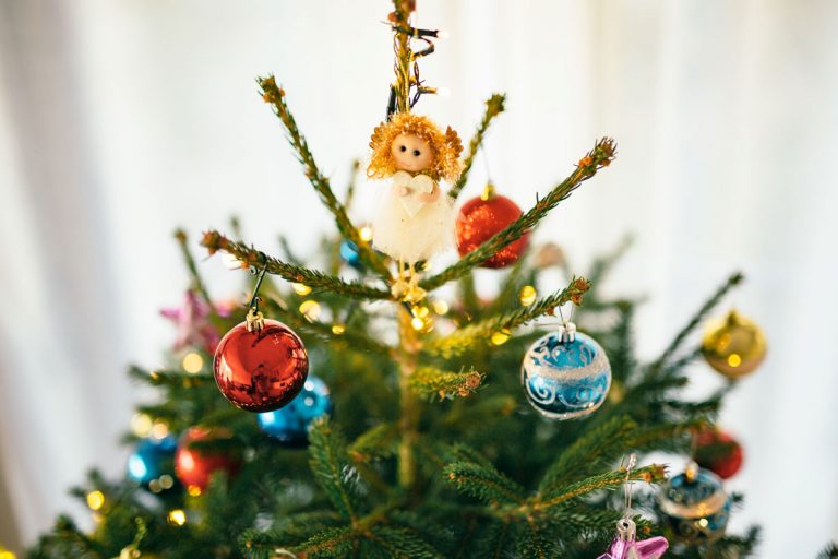 Aký ihličnan sa hodí do interiéru ako vianočný stromček? Na tento druh hneď zabudnite