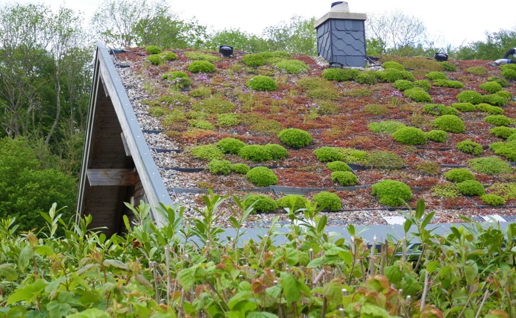Dom so šikmou zelenou strechou