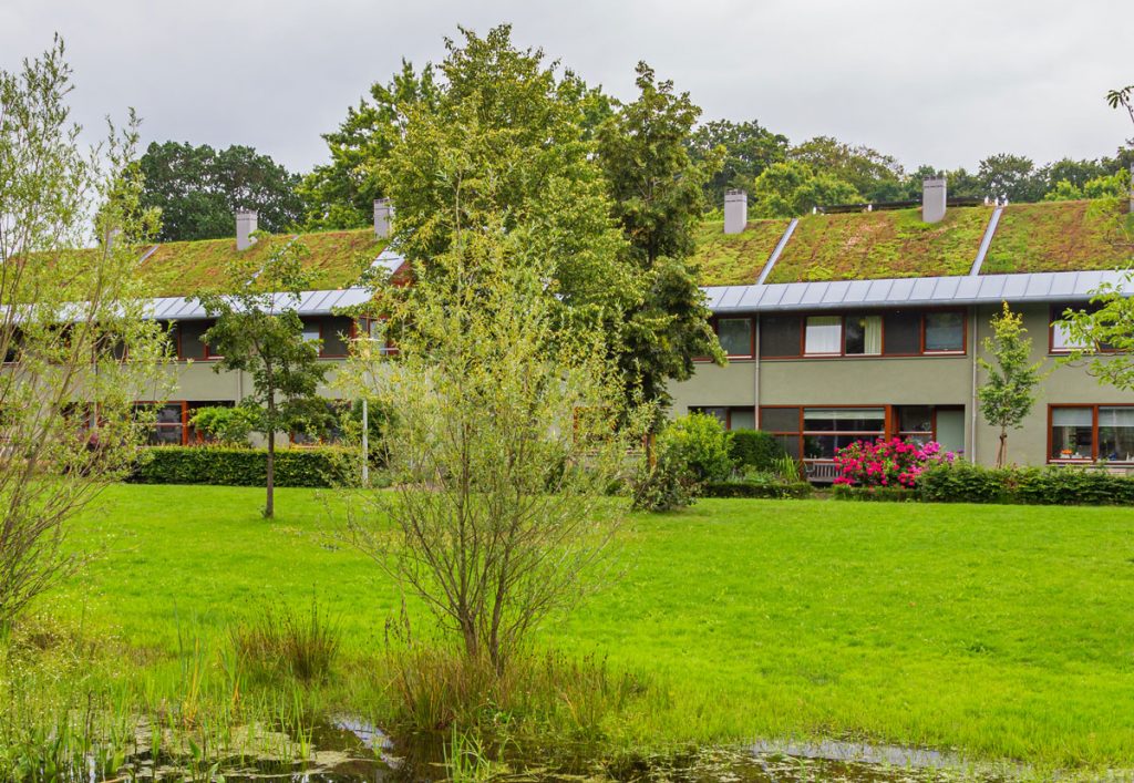 Radová zástavba rodinných domov so zelenými strechami