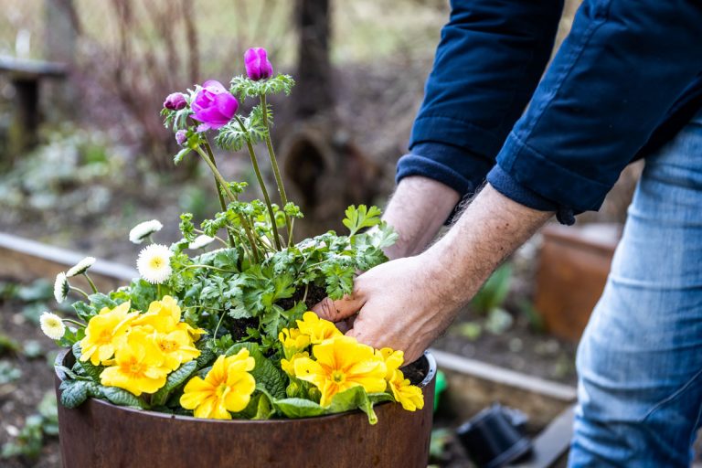 Oživte záhradu či balkón prvými kvetmi. Privítajte jar s pestrou výsadbou v nádobe