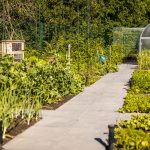 Úžitková časť súkromnej záhrady so zeleninovými a bylinkovými záhonmi, sadom s malým skleníkom a miestom pre hydinu