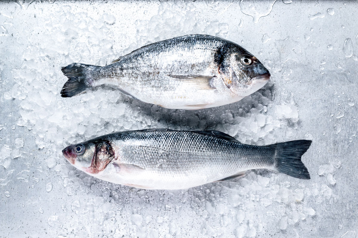 Čerstvé ryby na ľade