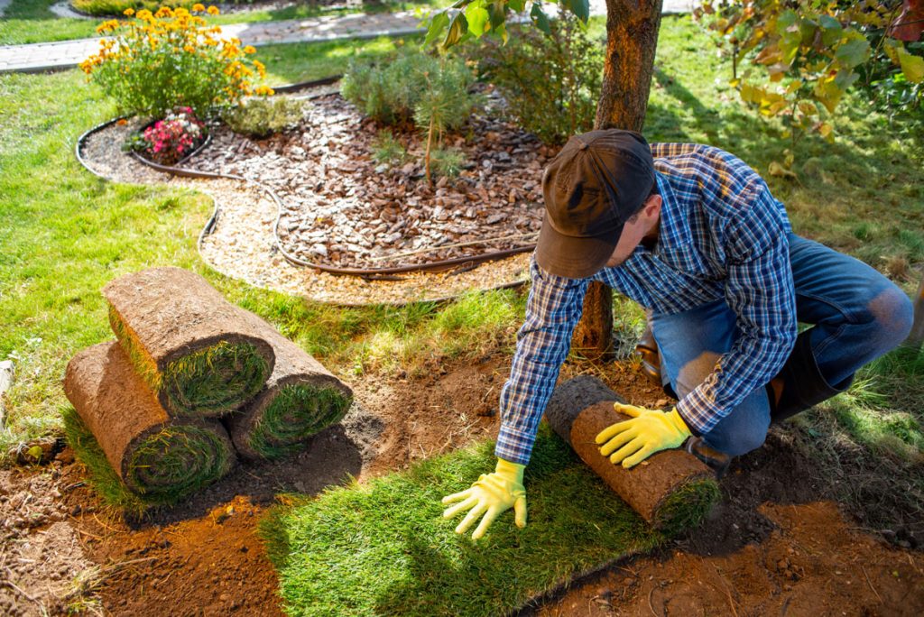 Čaká vás renovácia záhrady? Tieto veci v nej premyslite ako prvé