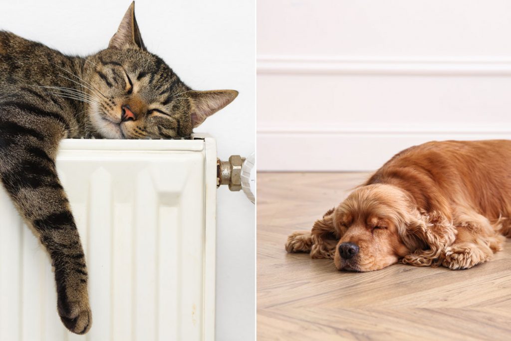Podlahovka vs radiátor: Ktorý spôsob vykurovania je lepší? Porovnali sme týchto 6 vecí