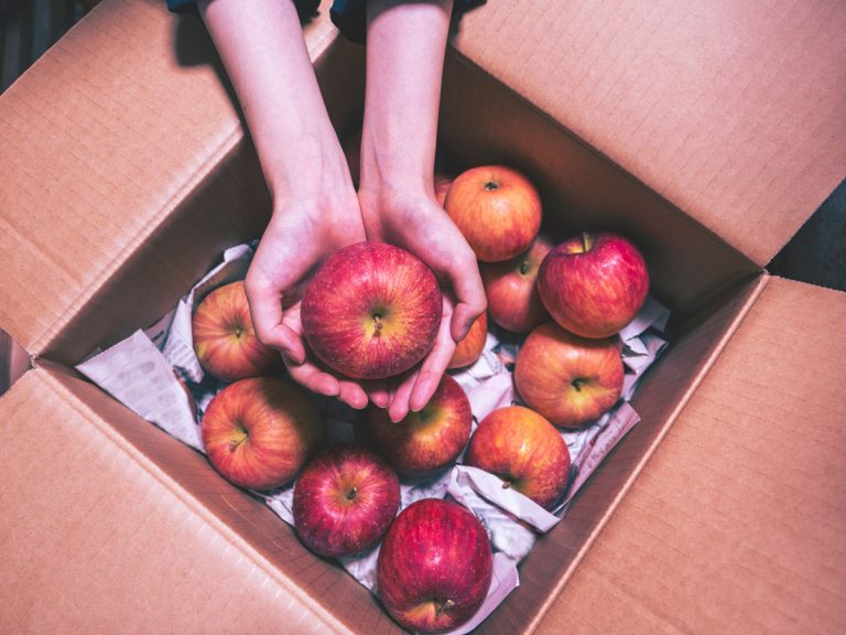 Ako na zimu uskladniť úrodu jabĺk v paneláku? Takto vám už nezhnijú a naučíme vás aj jeden trik